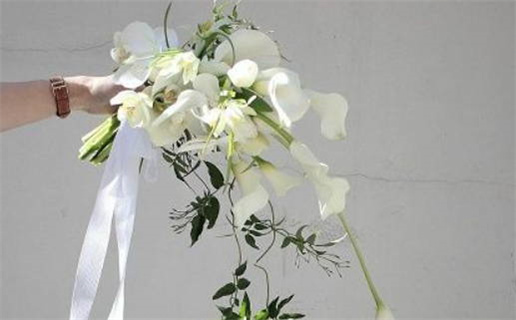 出生八字属什么命好命女(出生八字属什么命好命女孩)