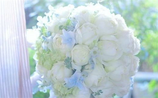 十二生肖鼠男处事方式(十二生肖鼠男和什么相配)