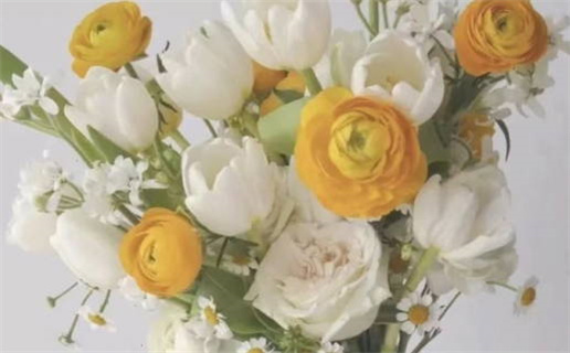 双子座很着迷摩羯吗(双子座很着迷摩羯吗女生)