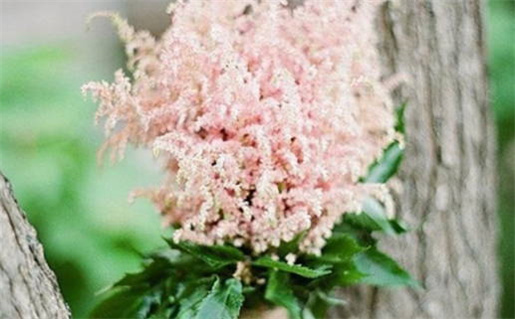 双子座男生为何永远不会单身的原因解析