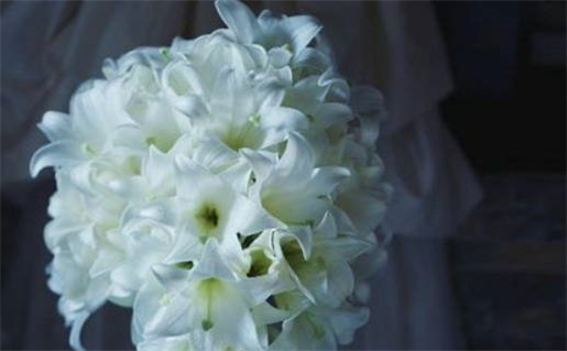 测五行八字(测五行八字)