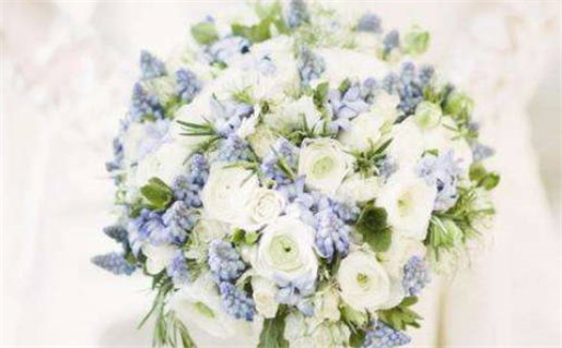 万年历生肖鼠猴配对_鼠猴生肖相配吗