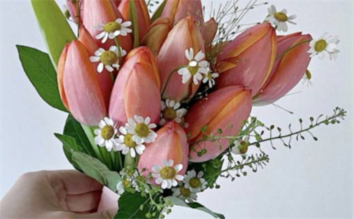 不看八字怎么判断童子命_八字看不出童子