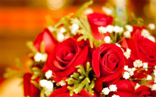 属鼠的今年五月运程(属鼠的今年五月运程如何)