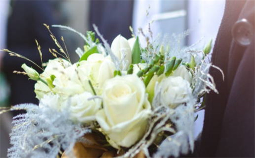 七月出生的生肖鼠运势分析与生活建议