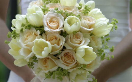 双鱼座与射手座婚姻匹配度分析与建议