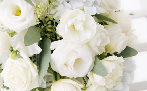 属鼠的拜哪位财神(属鼠的拜哪位财神最好)